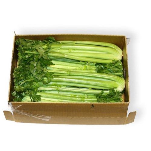CELERY  15KG CASE