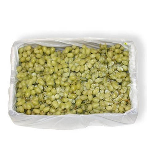 GRAPES WHITE 10KG  CASE