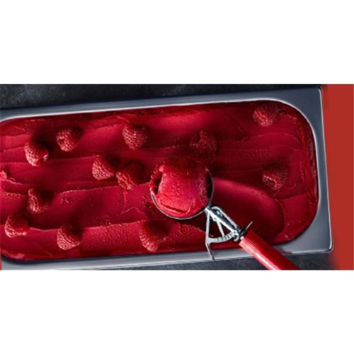ICE CREAM RASPBERRY SORBET 5LT (1)