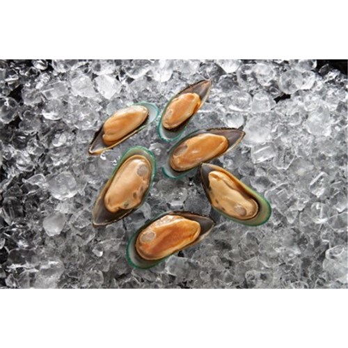 MUSSELS HALF SHELL MEDIUM 1KG (12)